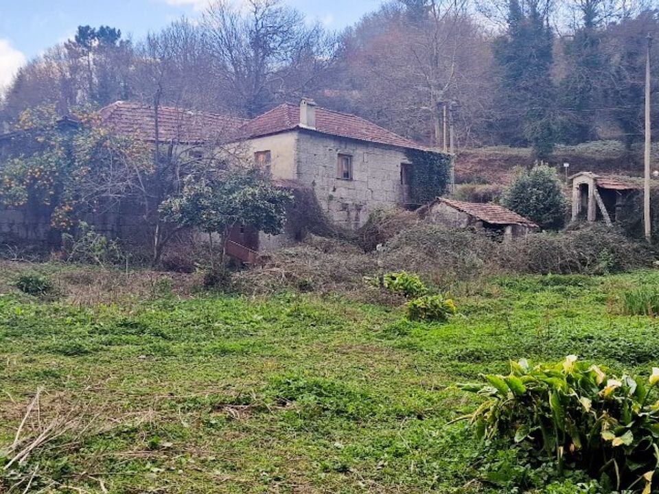 Farm i Vieira do Minho, Braga - foto 2