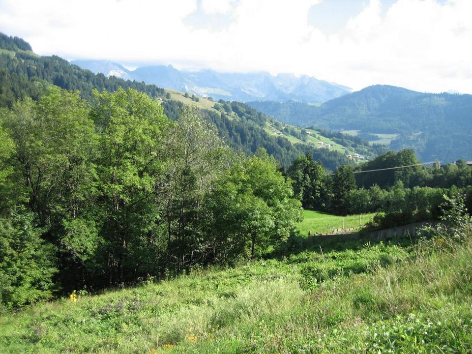 Helårsgrund i Le Grand-Bornand, Haute-Savoie - foto 3
