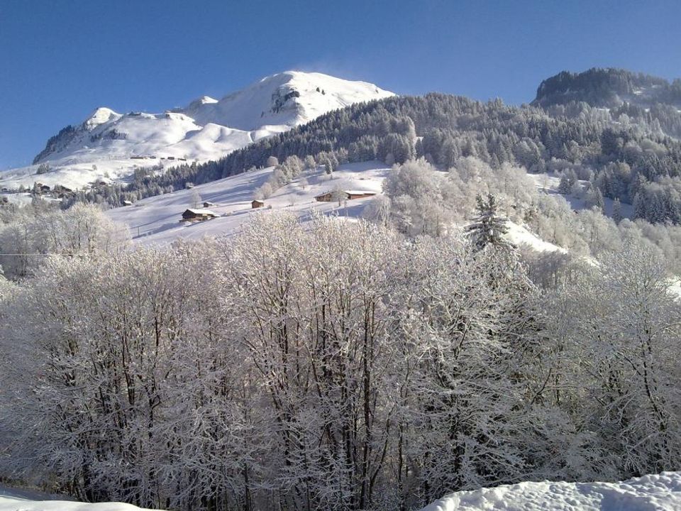 Helårsgrund i Le Grand-Bornand, Haute-Savoie - foto 4