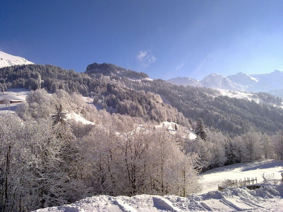 Helårsgrund i Le Grand-Bornand, Haute-Savoie - foto 5