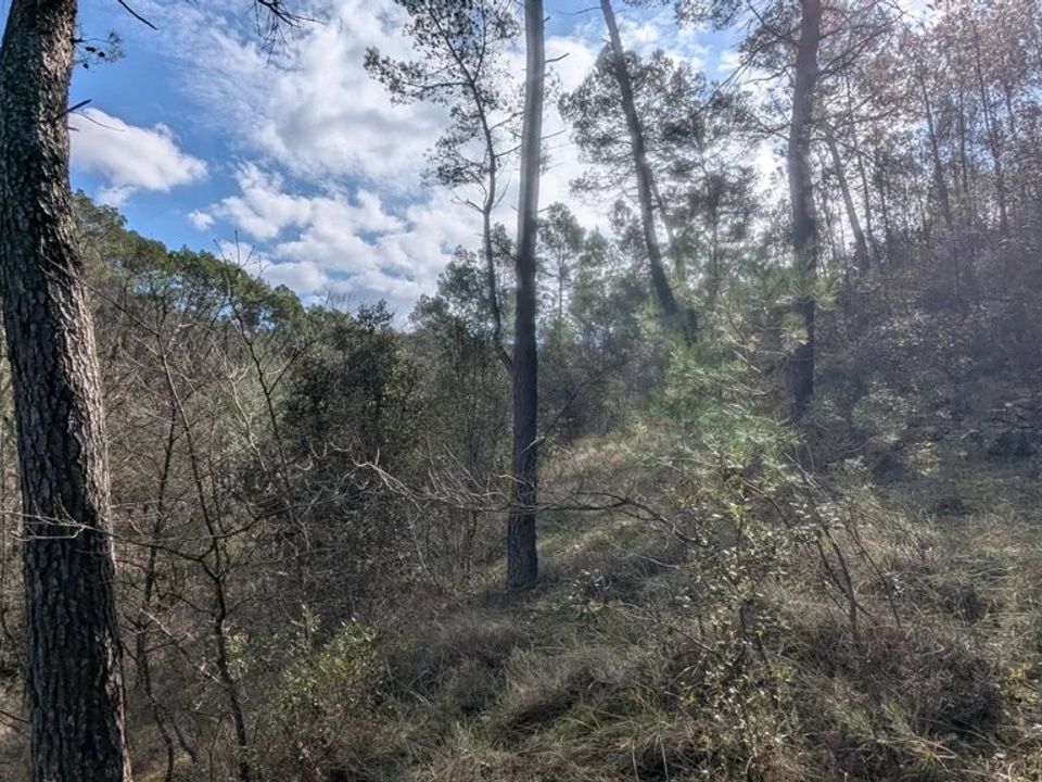 Helårsgrund i Entrecasteaux, Var - foto 3