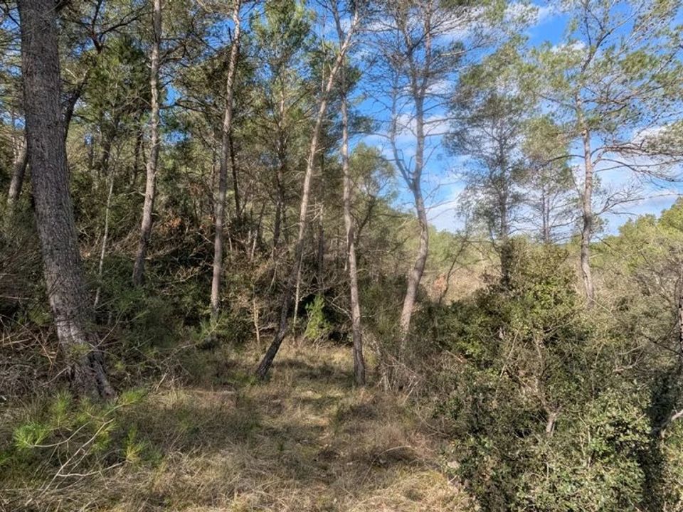 Helårsgrund i Entrecasteaux, Var - foto 4