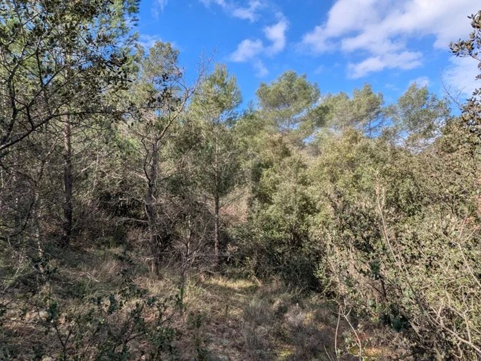 Helårsgrund i Entrecasteaux, Var - foto 5
