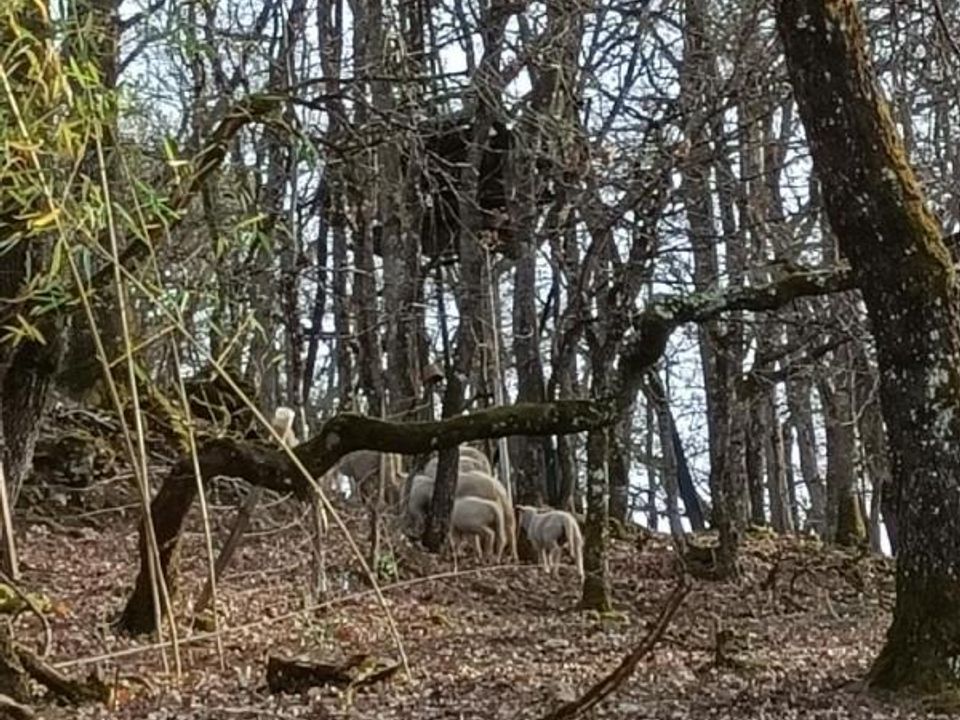 Helårsgrund i Buzet-sur-Baise, Lot-et-Garonne - foto 3