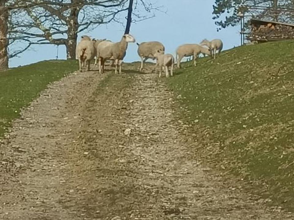 Helårsgrund i Buzet-sur-Baise, Lot-et-Garonne - foto 4
