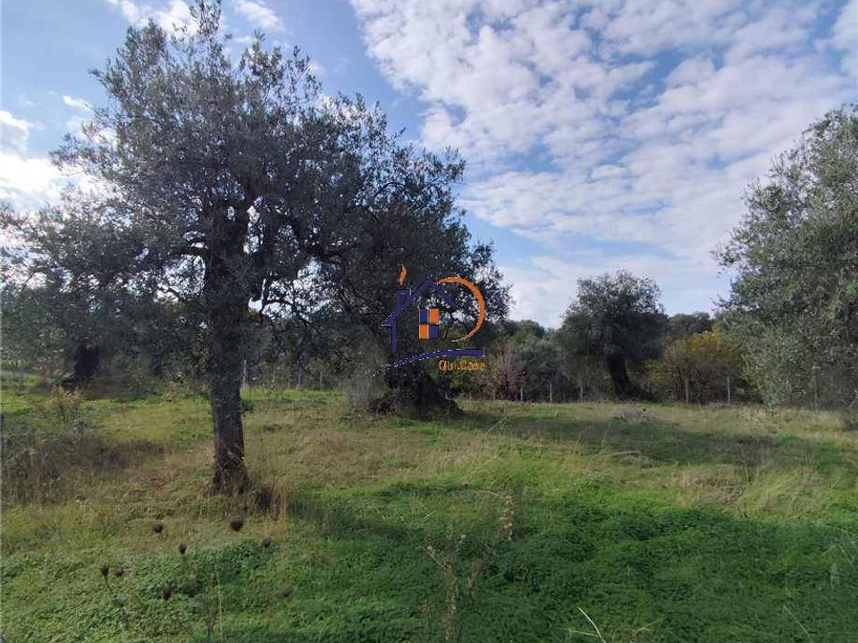 Helårsgrund i Corigliano-Rossano, Cosenza - foto 2