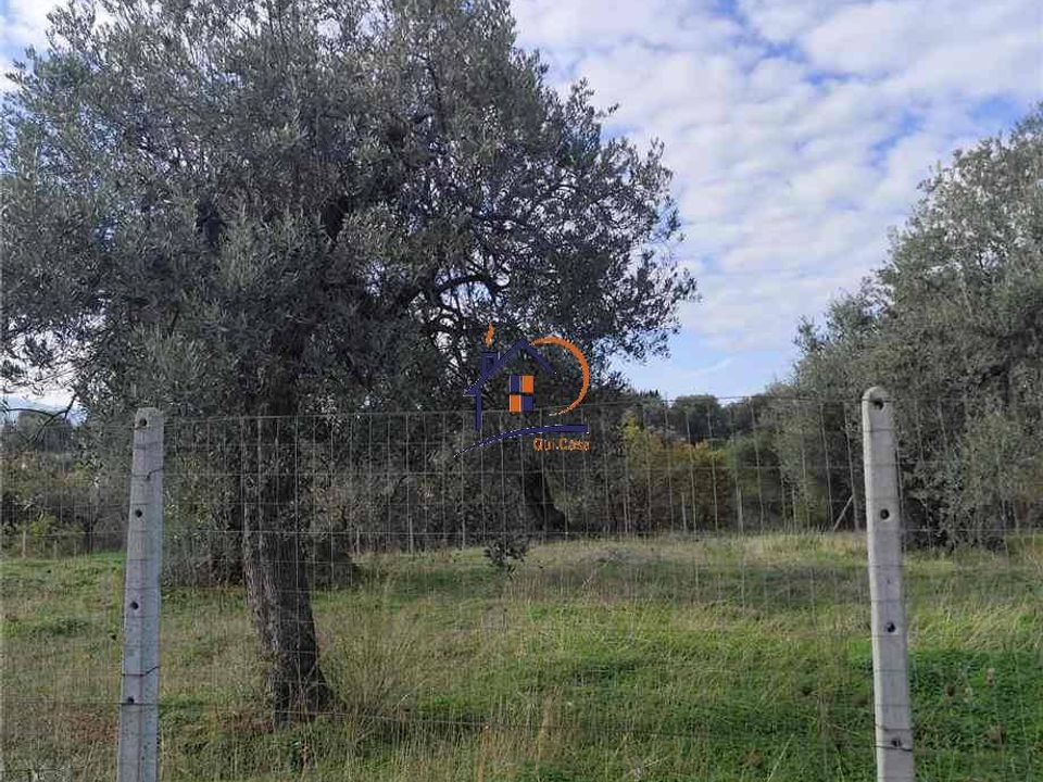 Helårsgrund i Corigliano-Rossano, Cosenza - foto 3