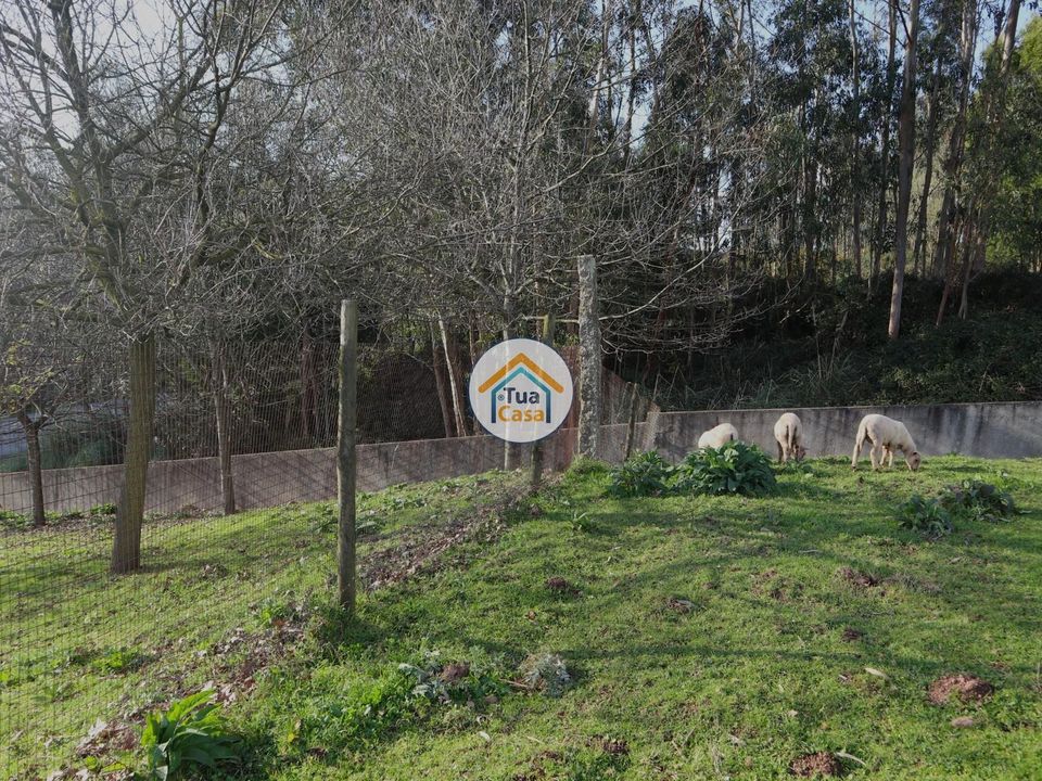 Helårsgrund i Vila Nova de Famalicao, Braga - foto 5