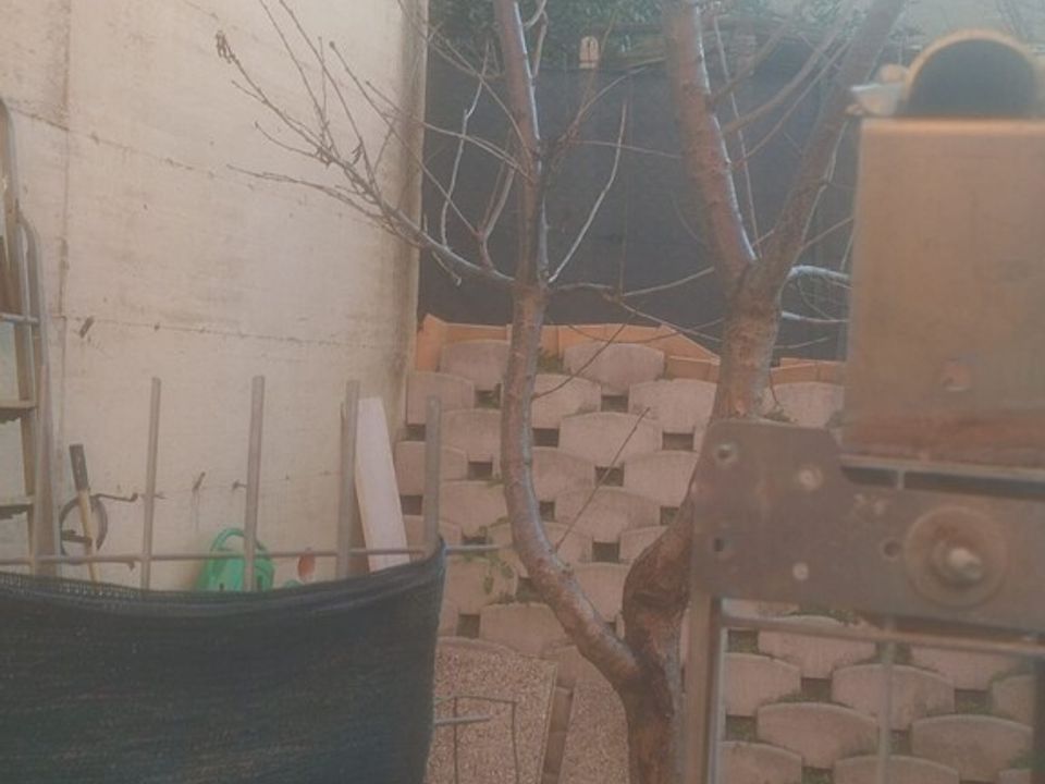 Villa in Sant'Elpidio a Mare, Fermo - foto 4