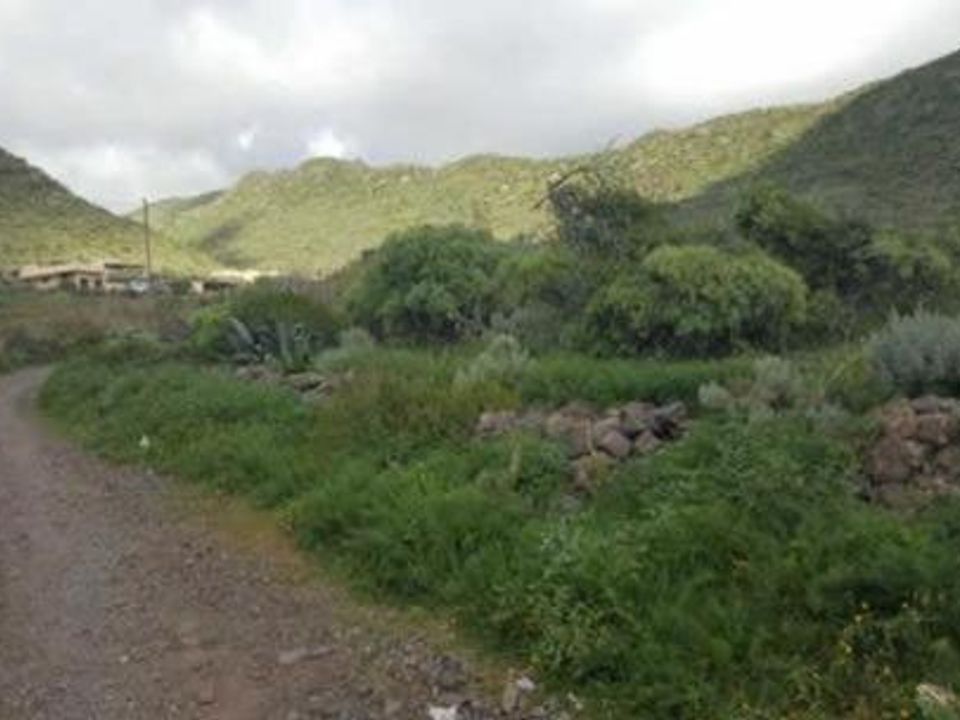 Tomt i La Laguna, Tenerife - bilde 3