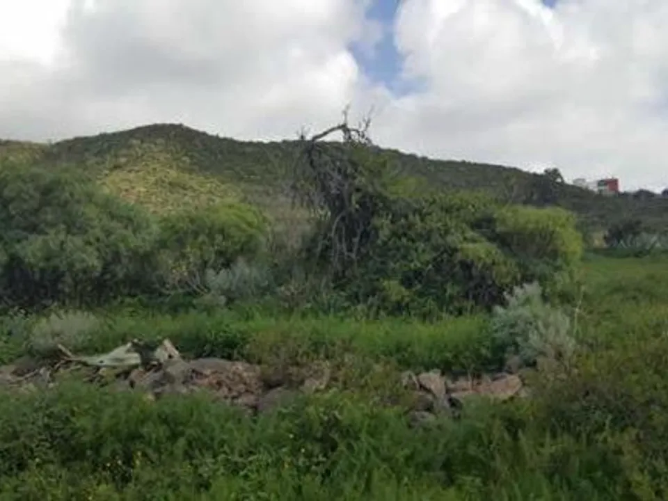 Tomt i La Laguna, Tenerife - bilde 4