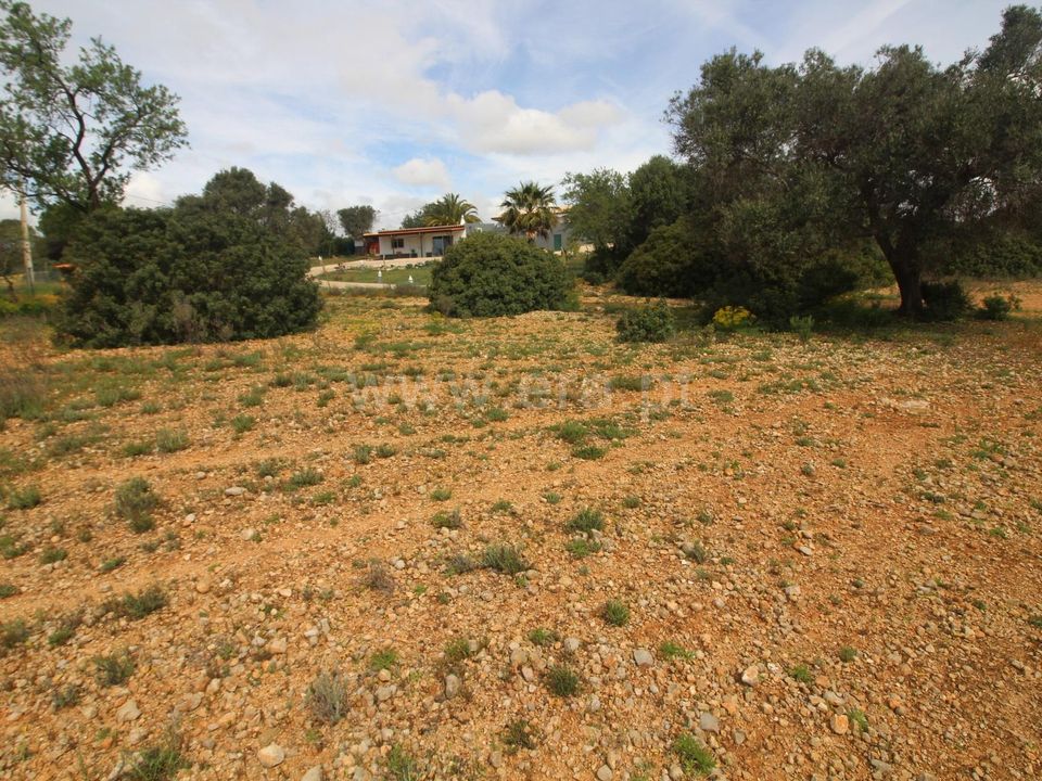 Helårsgrund i Faro, Faro - foto 3