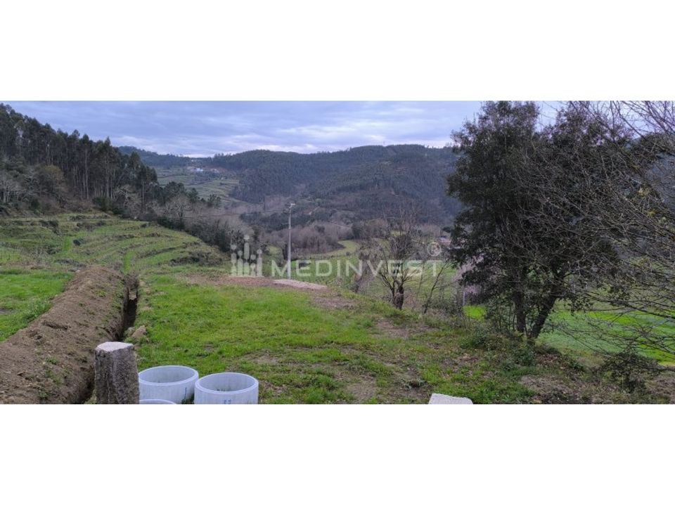 Tomt i Mondim de Basto, Vila Real - bilde 2