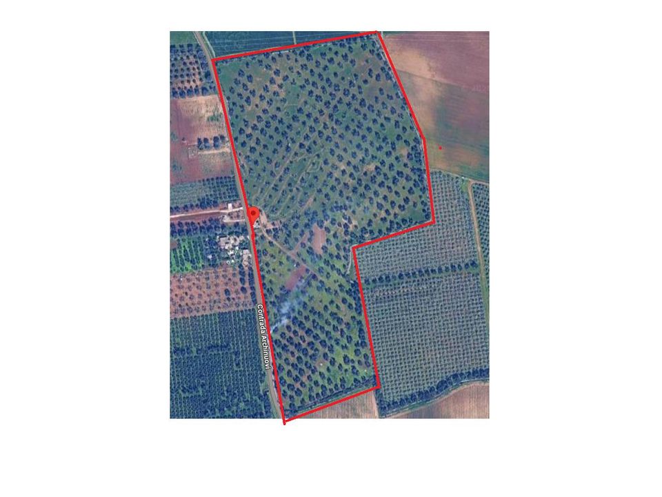 Farm hus i Francavilla Fontana, Brindisi - foto 4