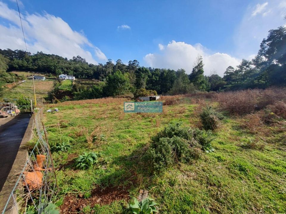 Helårsgrund i Santana, Madeira - foto 4