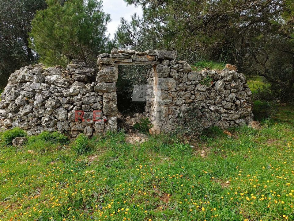 Villa i Martina Franca, Taranto - foto 3