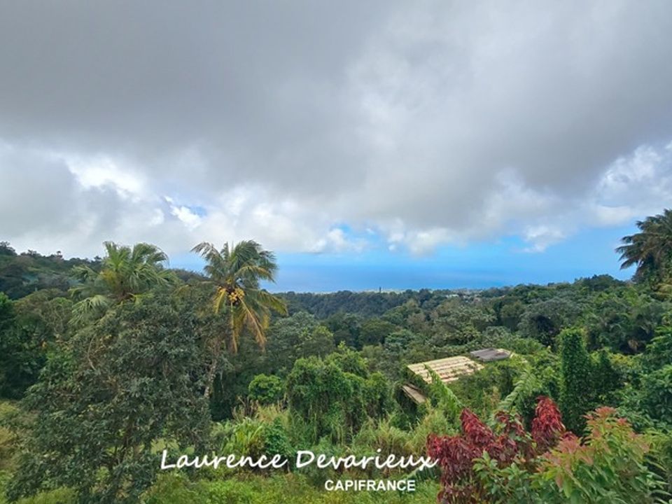 Villa i Saint-Claude, Guadeloupe - foto 2