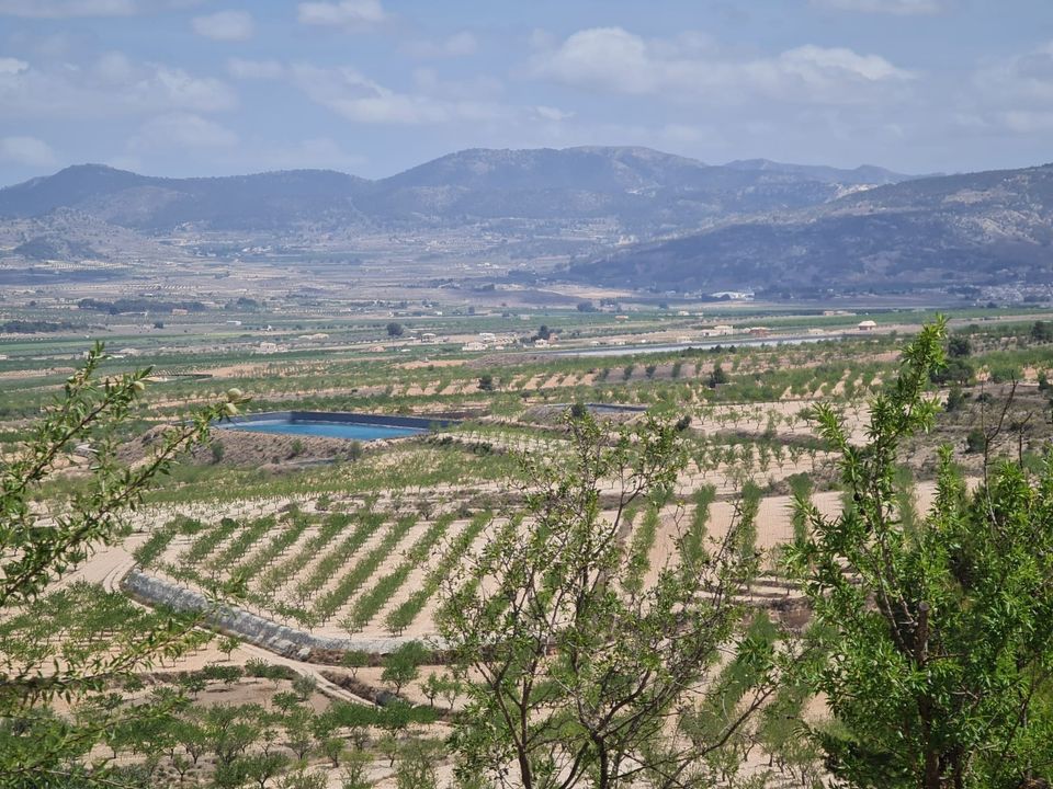 Helårsgrund i Yecla, Murcia - foto 1