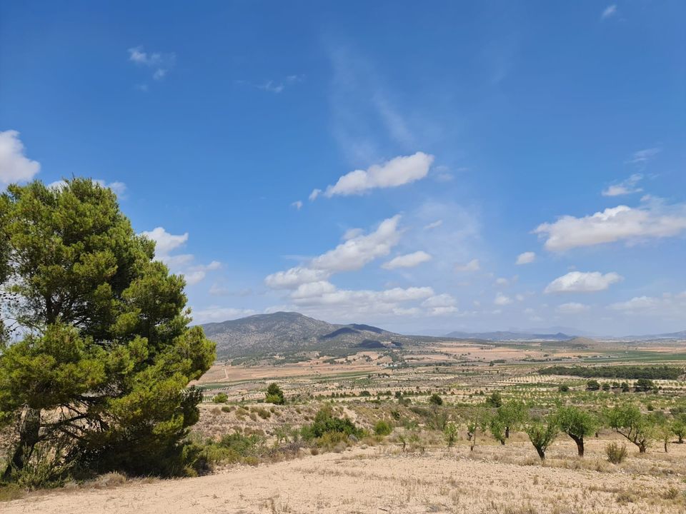 Helårsgrund i Yecla, Murcia - foto 2