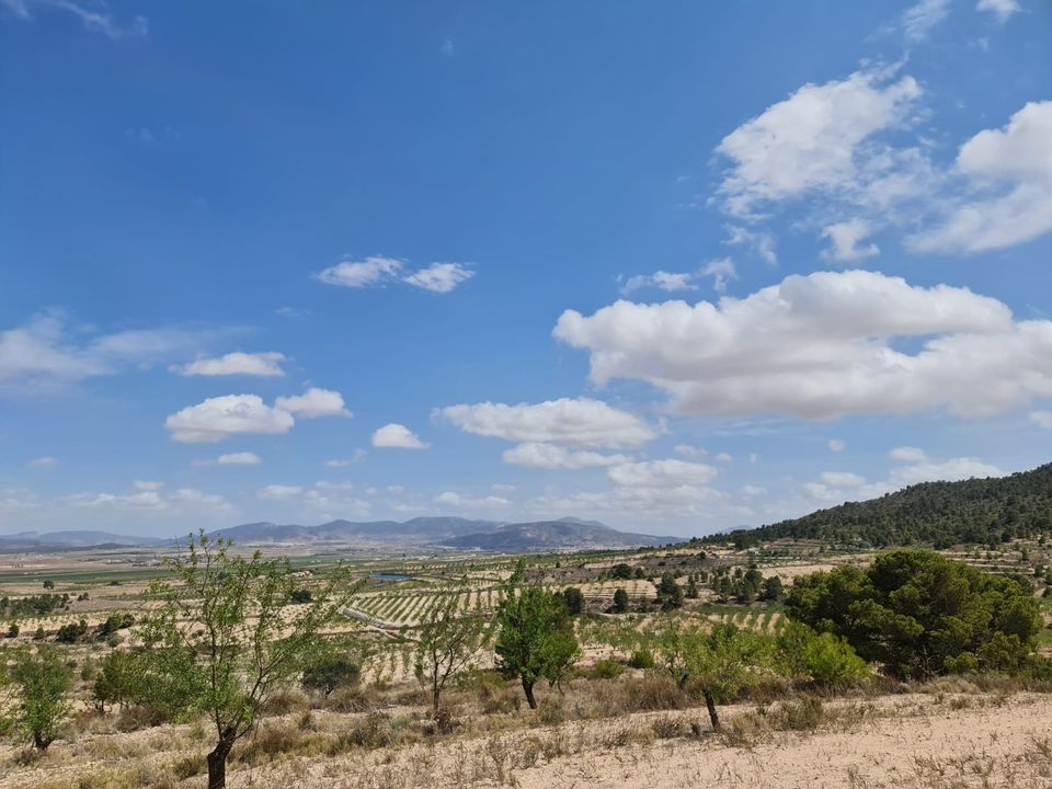 Helårsgrund i Yecla, Murcia - foto 3
