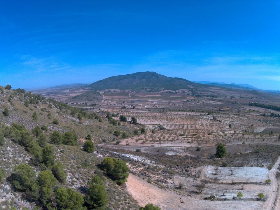 Helårsgrund i Yecla, Murcia - foto 5