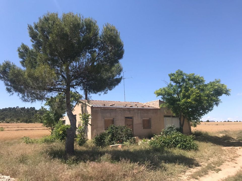 Landejendom i Yecla, Murcia - foto 2