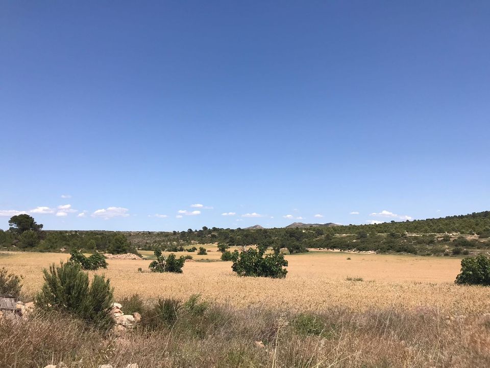 Landejendom i Yecla, Murcia - foto 4