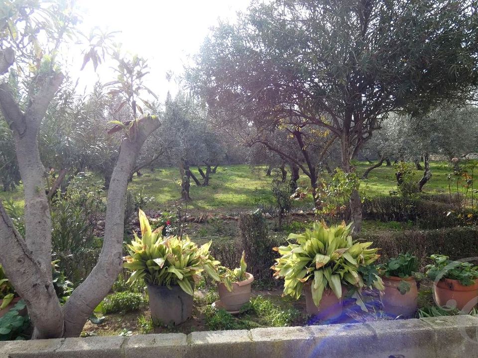 Villa i Moraleda De Zafayona, Granada - foto 3