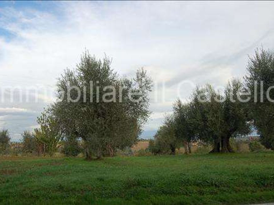 Villa i Castiglione del Lago, Perugia - foto 1