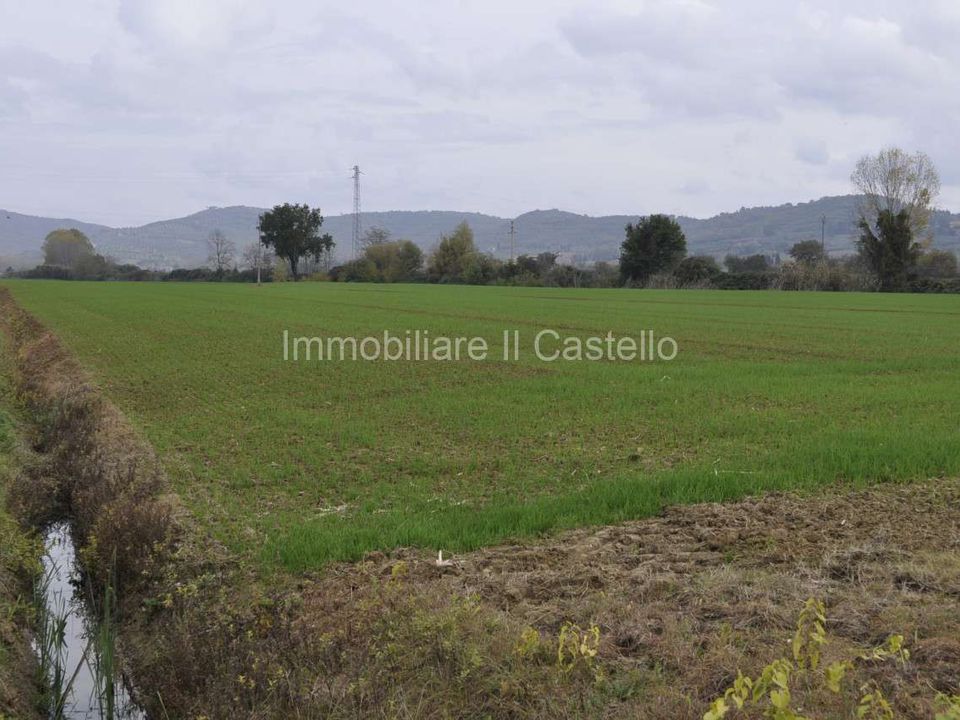 Villa i Castiglione del Lago, Perugia - foto 1