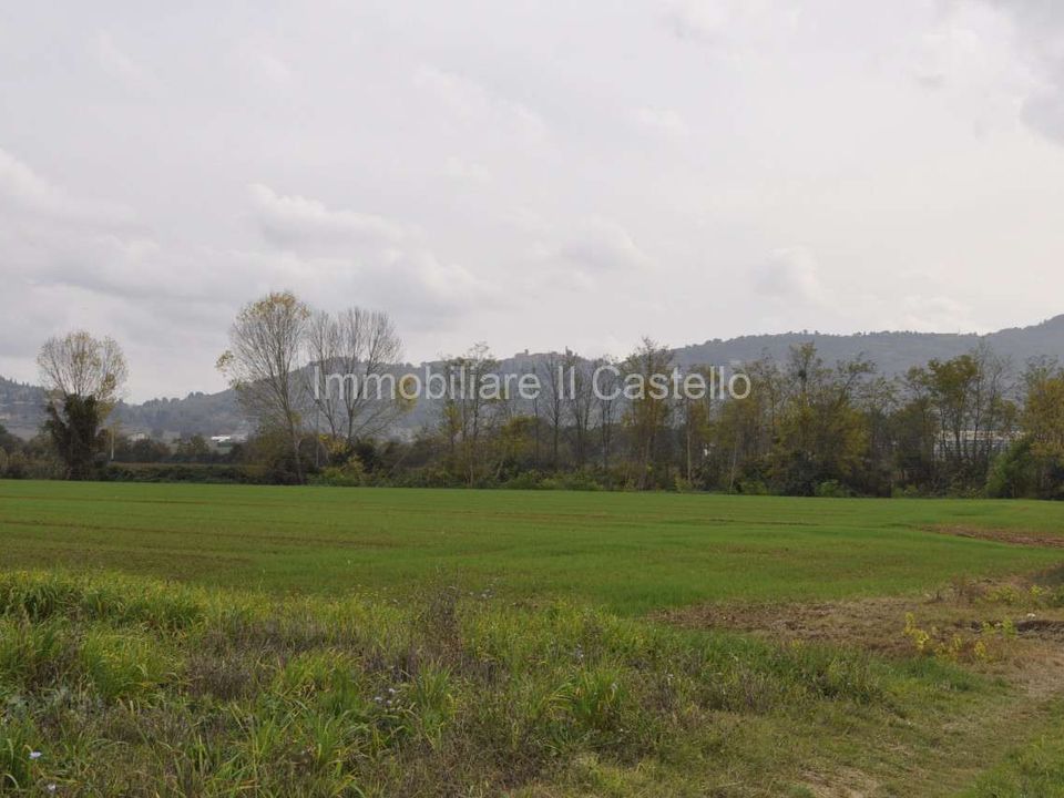 Villa i Castiglione del Lago, Perugia - foto 2