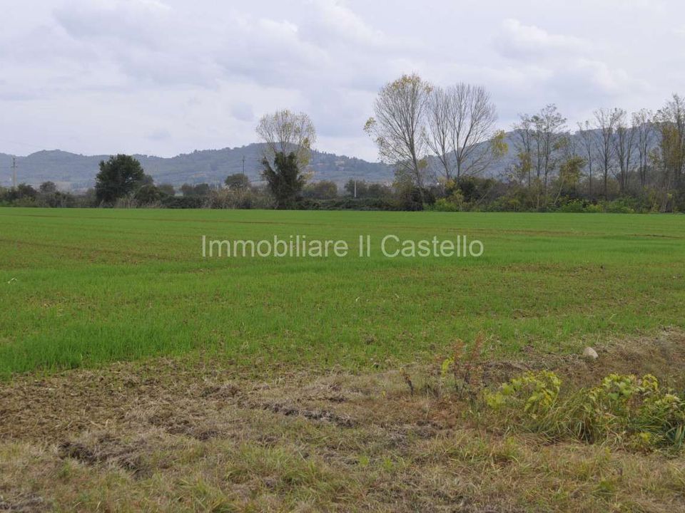Villa i Castiglione del Lago, Perugia - foto 3