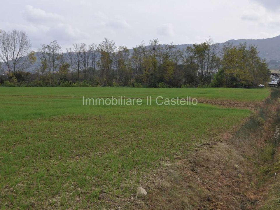 Villa i Castiglione del Lago, Perugia - foto 4