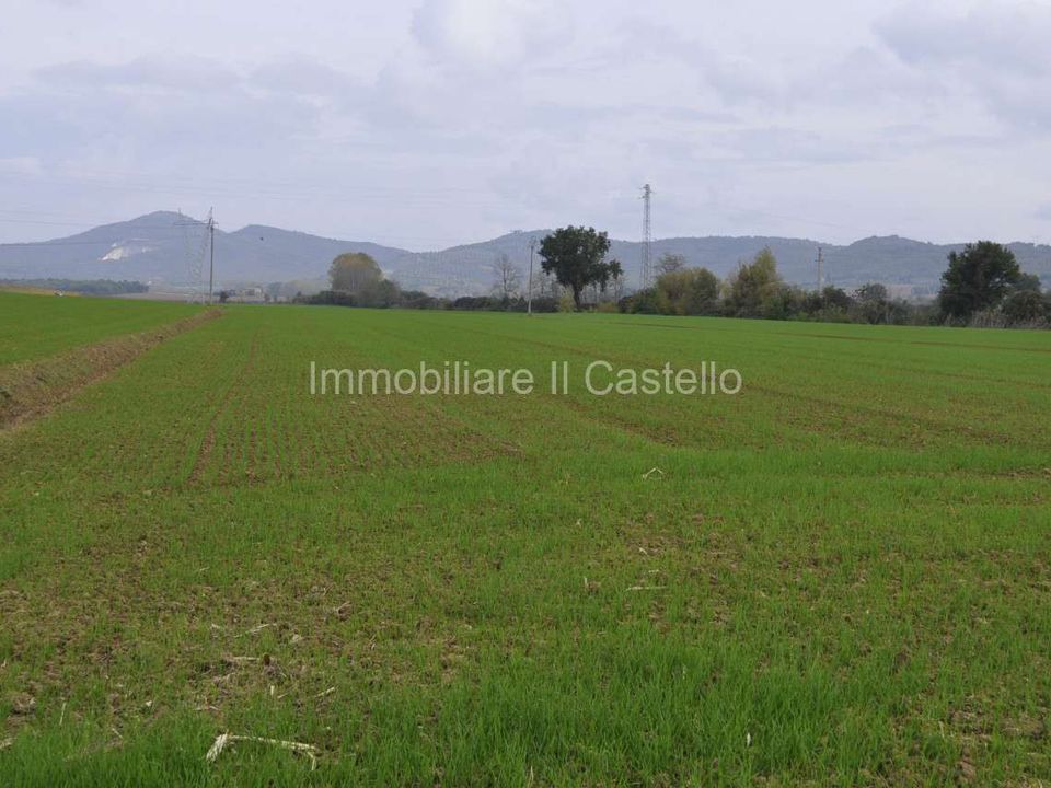 Villa i Castiglione del Lago, Perugia - foto 5