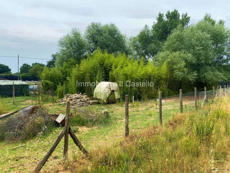 Villa i Castiglione del Lago, Perugia - foto 2