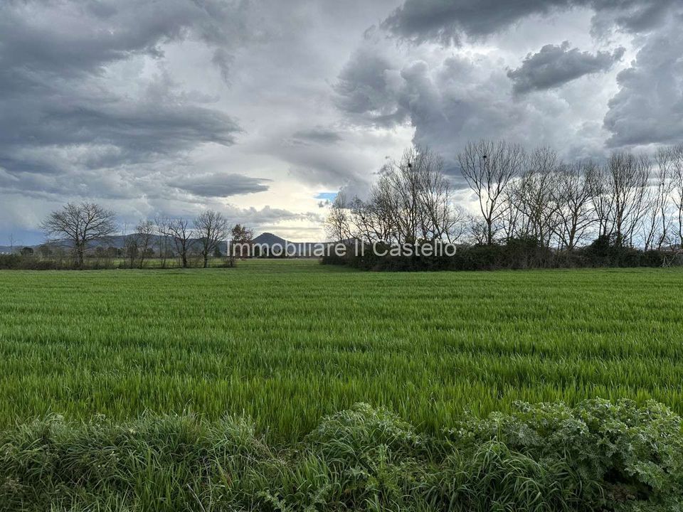 Villa i Castiglione del Lago, Perugia - foto 2