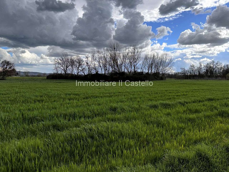 Villa i Castiglione del Lago, Perugia - foto 3