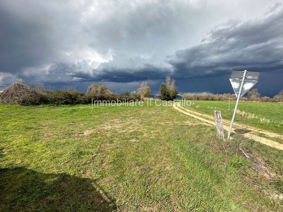 Villa i Castiglione del Lago, Perugia - bilde 5