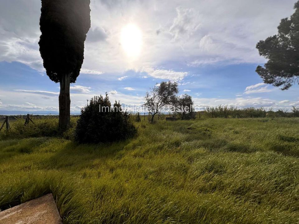 Farm hus i Castiglione del Lago, Perugia - foto 3