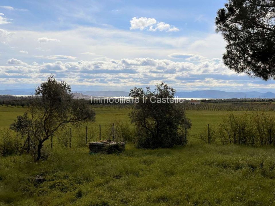 Farm hus i Castiglione del Lago, Perugia - foto 4