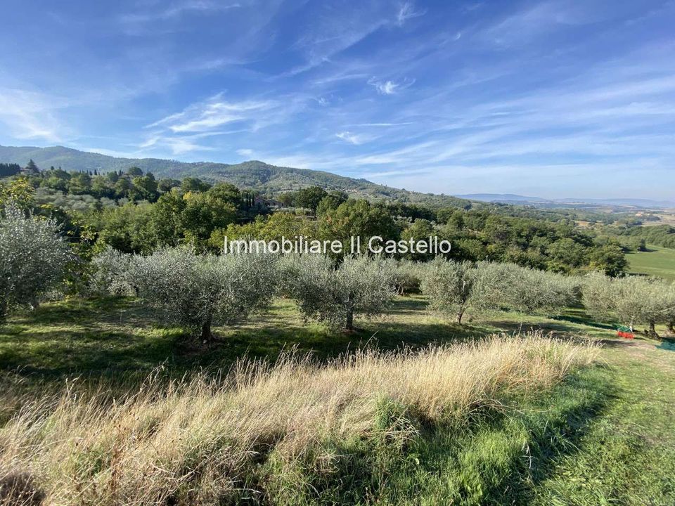 Villa i Paciano, Perugia - foto 2