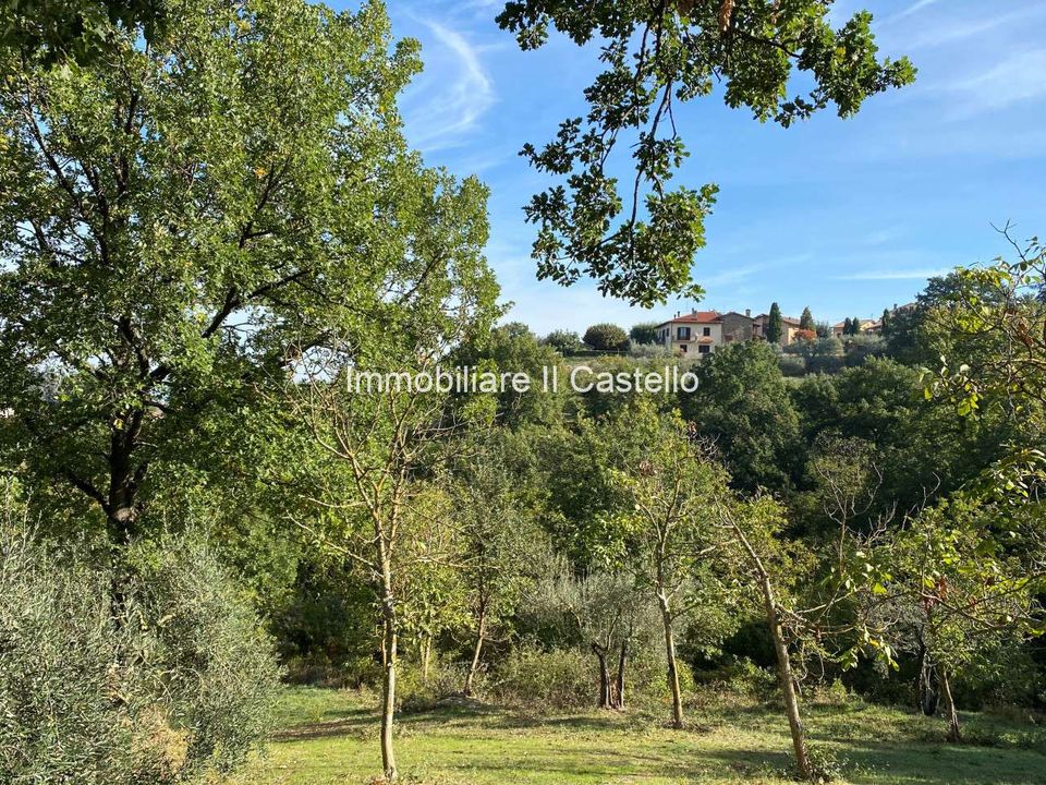 Villa i Paciano, Perugia - foto 5