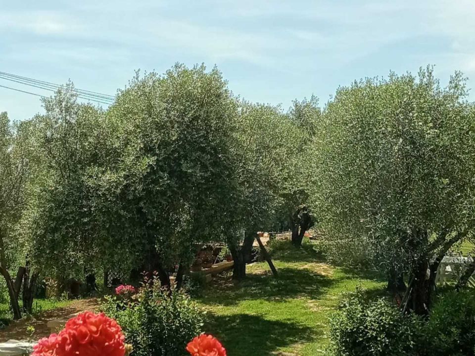 Villa i Citta della Pieve, Perugia - foto 1