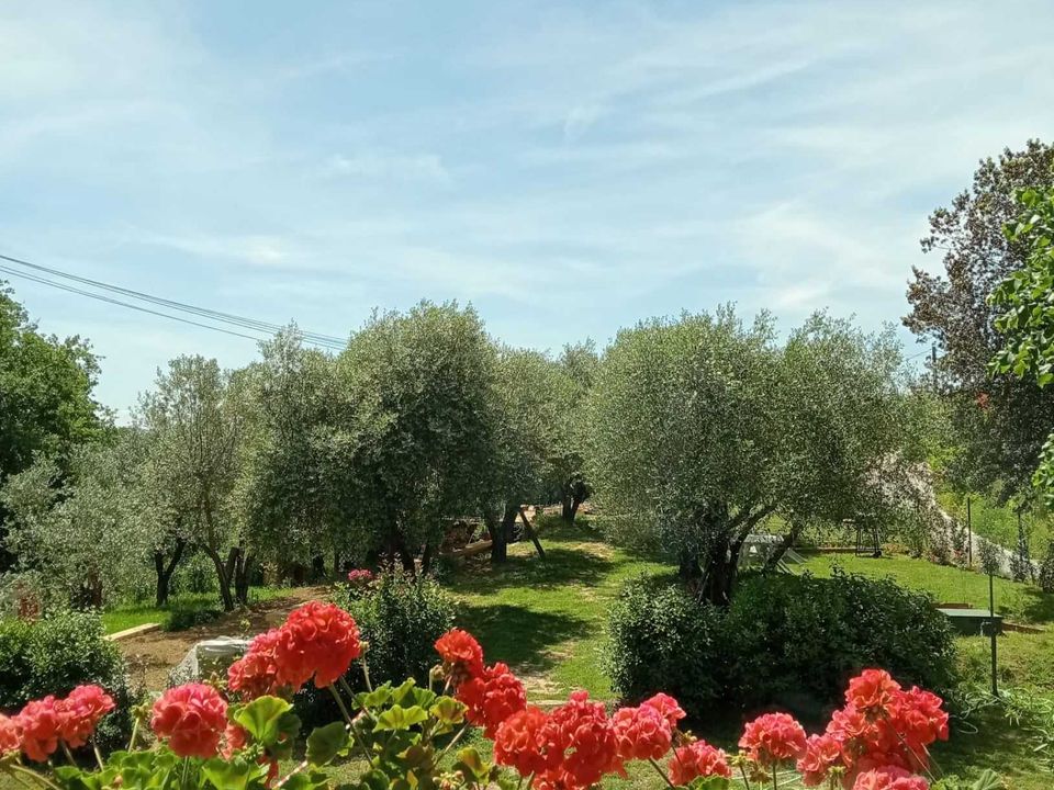 Villa i Citta della Pieve, Perugia - foto 5