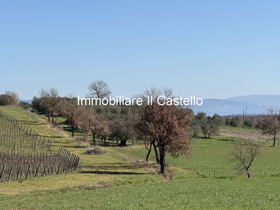 Villa i Castiglione del Lago, Perugia - foto 1