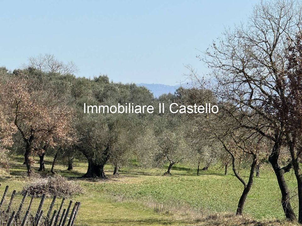 Villa i Castiglione del Lago, Perugia - foto 2