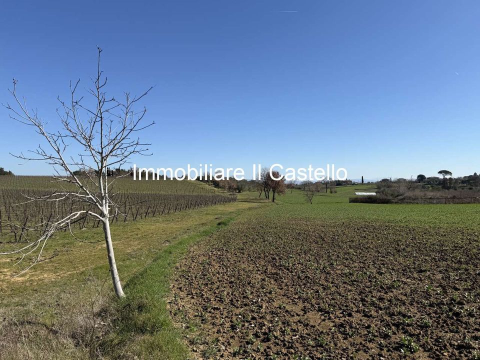 Villa i Castiglione del Lago, Perugia - foto 3