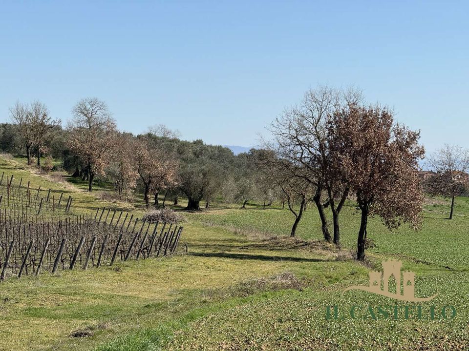 Farm hus i Panicale, Perugia - foto 3