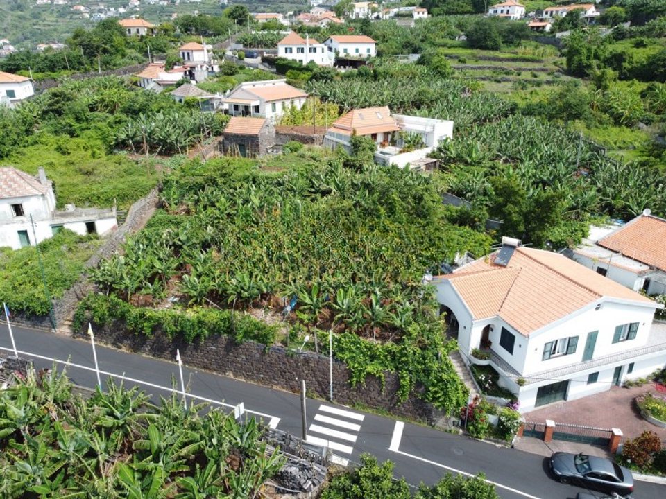 Helårsgrund i Calheta, Madeira - foto 5