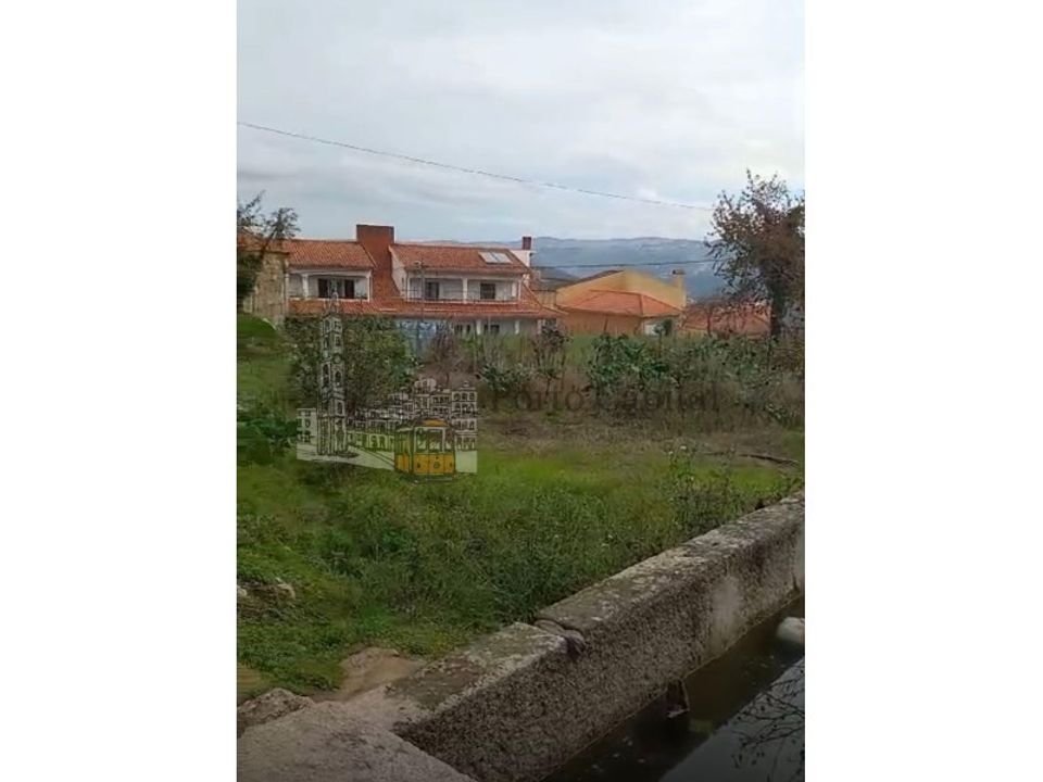 Farm i Tarouca, Viseu - foto 5
